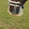 Best Panier Accessoires D'Écurie·Muselières Cheval