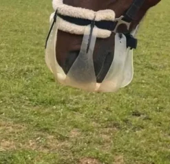 Best Panier Accessoires D'Écurie·Muselières Cheval