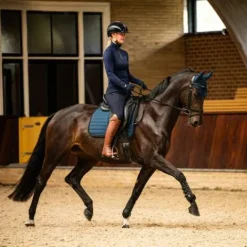 Sale Pantalon d'hiver Lymée Softshell Full Grip - - Déperlant Femme Tenue D'Équitation Femme·Pantalons Femme