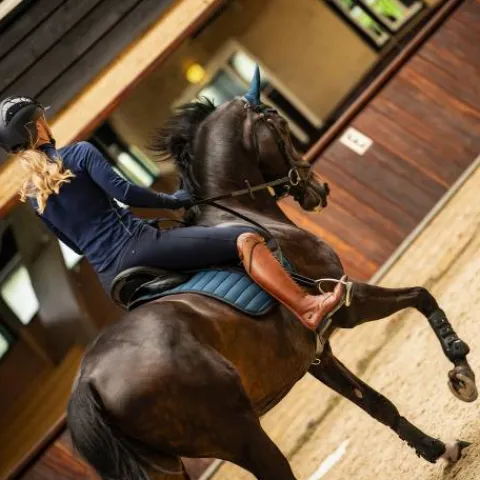 Sale Pantalon d'hiver Lymée Softshell Full Grip - - Déperlant Femme Tenue D'Équitation Femme·Pantalons Femme