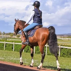 Best Pantalon d'équitation Junior fille Luna - Jump'in Enfant Tenue D'Équitation Enfant·Pantalons Enfant