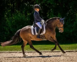 Online Pantalon enfant Kae Enfant Les Jeunes En Concours|Les Enfants En Concours