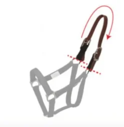 New Pièce de rechange licol détachable Licols Et Longes