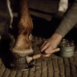 Hot Pinceau pour sabot - - 100% bois Pinceaux Pour Sabots