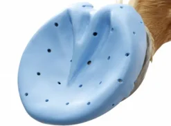 Discount Plaque Second Sport - Hipposandales