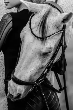 New Polo technique d'équitation CASUAL CONTESSA - - Manches longues Femme Tenue D'Équitation Homme·Polos Et Chemises|Tenue D'Équitation Femme·Polos Et Chemises