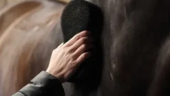 Éponge Shine Scrubber - - Multifonctionnelle Éponges De Pansage