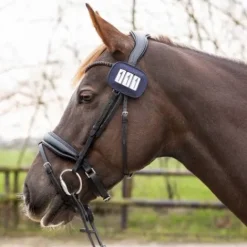 New Porte numéros shine - - paillettes Les Accessoires De Concours·Dossard De Cross - Brassard|Dossards De Cross