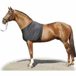 Clearance Protection du poitrail Couvertures Cheval