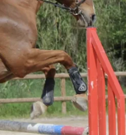 Clearance Protection xtr Ensembles Guêtres