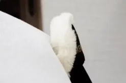 Online Protège queue en mouton - KENTUCKY Protège Queue