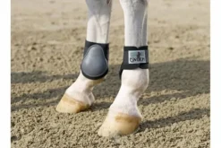 Best Protège-boulet - Protège-Boulets