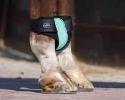 Hot Protège-Boulets Shetland Protège-Boulets