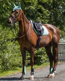 Hot Protège-Boulets Shetland Protège-Boulets