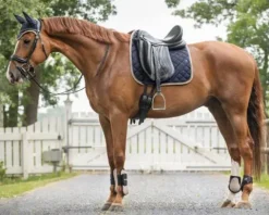 Hot Protège-Boulets Shetland Protège-Boulets