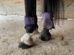 Best Protèges boulets Norton violet Protège-Boulets