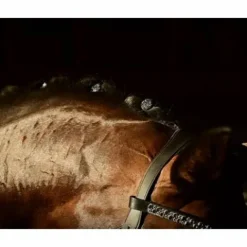 Hot Quick Knot Jewel, clips pions en cristaux Swarovski Medley 12 pièces - Hes Tec Natter Son Cheval