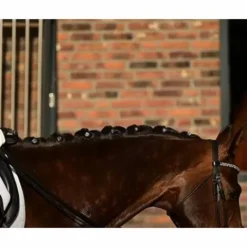 Hot Quick Knot Jewel, clips pions en cristaux Swarovski Medley 12 pièces - Hes Tec Natter Son Cheval