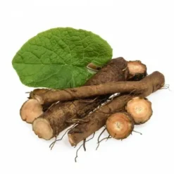 Racine de Bardane Propriété dépurative - Drainage Du Cheval·Drainage Des Reins|Drainage Du Cheval·Drainage Du Foie