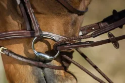 Online Rênes allemandes cuir - - boucles en laiton Rênes·Rênes Allemande