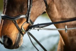 Clearance Rênes allemandes cuir Rênes·Rênes Allemande