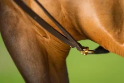 Clearance Rênes allemandes cuir Rênes·Rênes Allemande