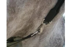 Sale Rênes allemandes cuir/corde Rênes·Rênes Allemande