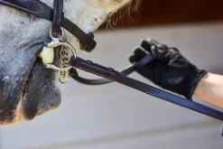 Online Rênes avec arrêts et crochet à rivet - - antidérapantes Rênes·Rênes Anti-dérapantes|Rênes·Rênes En Caoutchouc