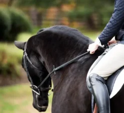 Online Rênes avec arrêts et crochet à rivet - - antidérapantes Rênes·Rênes Anti-dérapantes|Rênes·Rênes En Caoutchouc