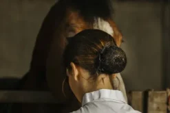 Online Résille Floral Noire Femme Tenue De Concours Femme·Résilles Cheveux|Les Accessoires De Concours·Résilles De Cavalière