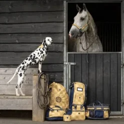Online Sac à bombe ss25 - - polyester déperlant Protections De Tête·Sacs à Casque|Bagagerie Et Sac De Transport·Sacs à Casques