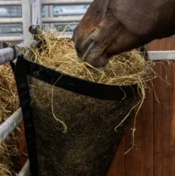 Sac à foin d'angle - Kentucky - Ultra résistant Matériel Pour L'Alimentation·Râteliers à Foin|Ratelier D'Herbage