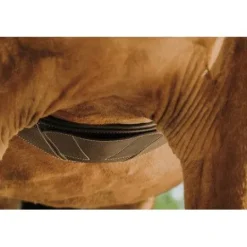 Outlet Sangle anatomique Magnet - Sangles