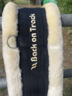 Sangle back on track Sangles