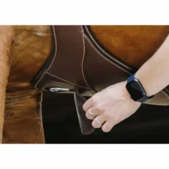 Online Sangle bavette Magnet - Sangles