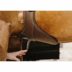 Online Sangle bavette Magnet - Sangles