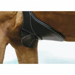 Online Sangle bavette Magnet - Sangles