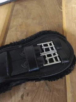 Online Sangle Kentucky Sangles