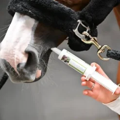 New Seringue contre les parasites Natural'Protect - Appareil Digestif·Vermifuge Cheval