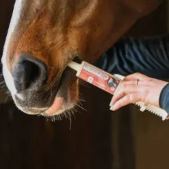 Discount Seringue forme vitalité performance Natural'Top Flash - Forme Et Performances·Booster Cheval