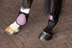 Set de guêtres et protège-boulets Franka - Ensembles Guêtres