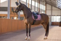 Set de guêtres et protège-boulets Franka - Ensembles Guêtres