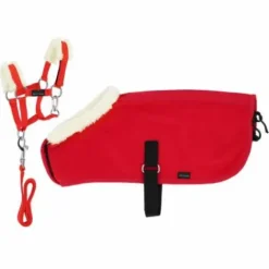 New Set mini licol + couverture Cadeaux Et Jouets