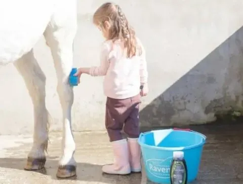 Online Shampoing Easy Shine Grey - Laboratoire Shampoings Pour Chevaux
