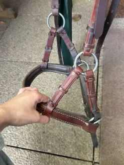 Hot Side pool taille COB Bridons Et Brides·Filet Sans Mors|Bridons Et Brides·Bridon Cuir