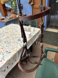 Hot Side pool taille COB Bridons Et Brides·Filet Sans Mors|Bridons Et Brides·Bridon Cuir