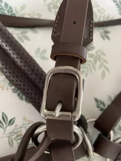 Hot Side Pull Gaston Mercier taille M Bridons Et Brides·Filet Sans Mors|Bridons Et Brides·Bridon Cuir