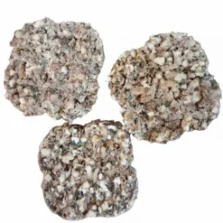 Outlet Snack & Guts - Crackers Friandises