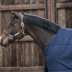 New Sous-couverture Classic 100g - Kentucky Couvertures Cheval