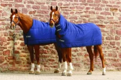 Discount Sous-couverture plus navy - - rembourrage 300g Couvertures Cheval